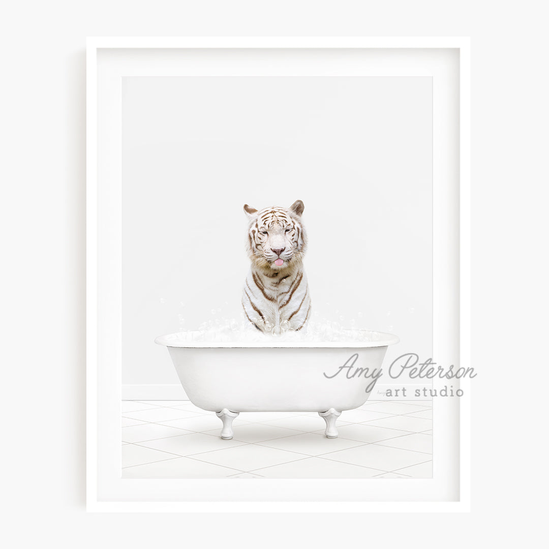 a white tiger sitting in a bath tub