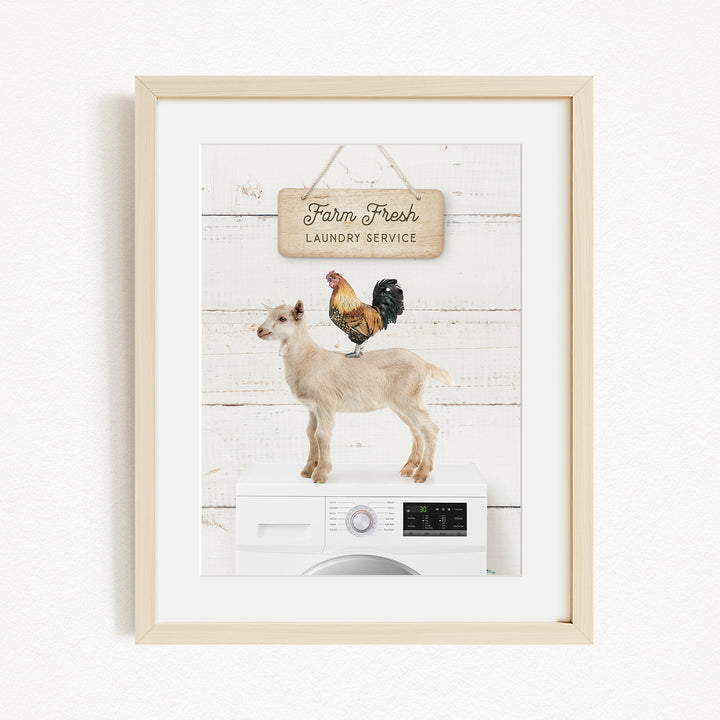 a white washing machine with a goat and a rooster perched on top of it, set against a white wooden background.