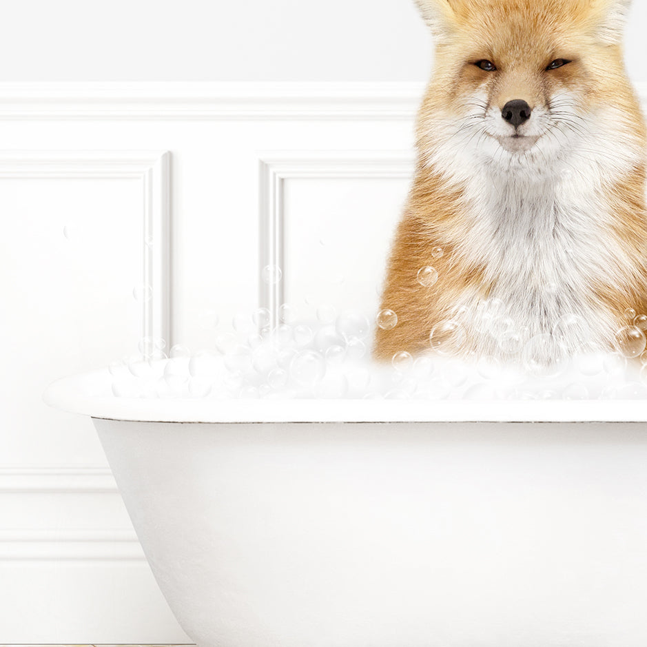 a fox sitting in a bathtub full of bubbles