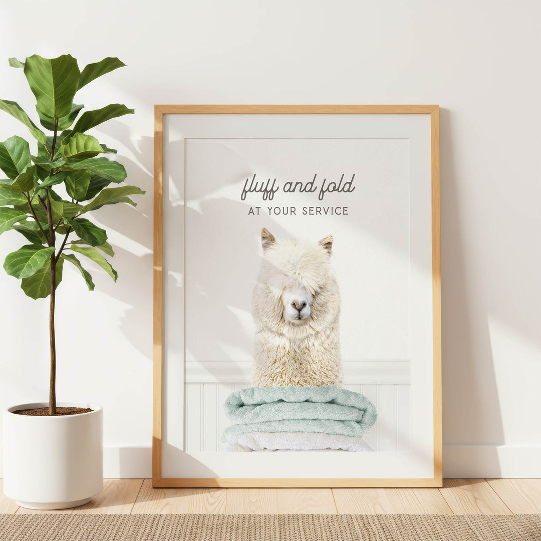 a framed picture of a fluffy white alpaca sitting on a stack of blue towels, with the text "fluff and fold at your service" written above the image.