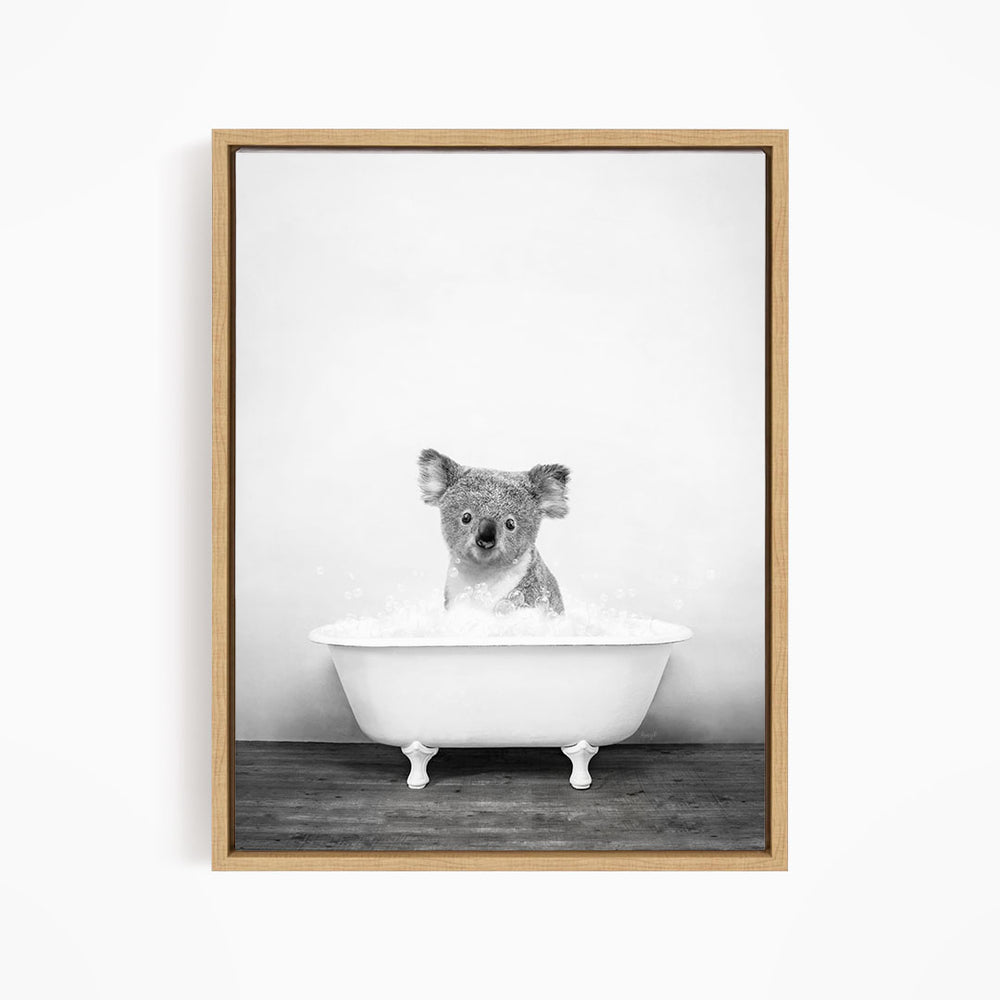 A koala sitting in a bathtub filled with water, looking directly at the camera.
