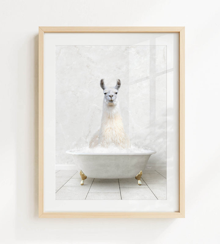 A white llama sitting in a white bathtub filled with bubbles, creating a whimsical and playful scene.