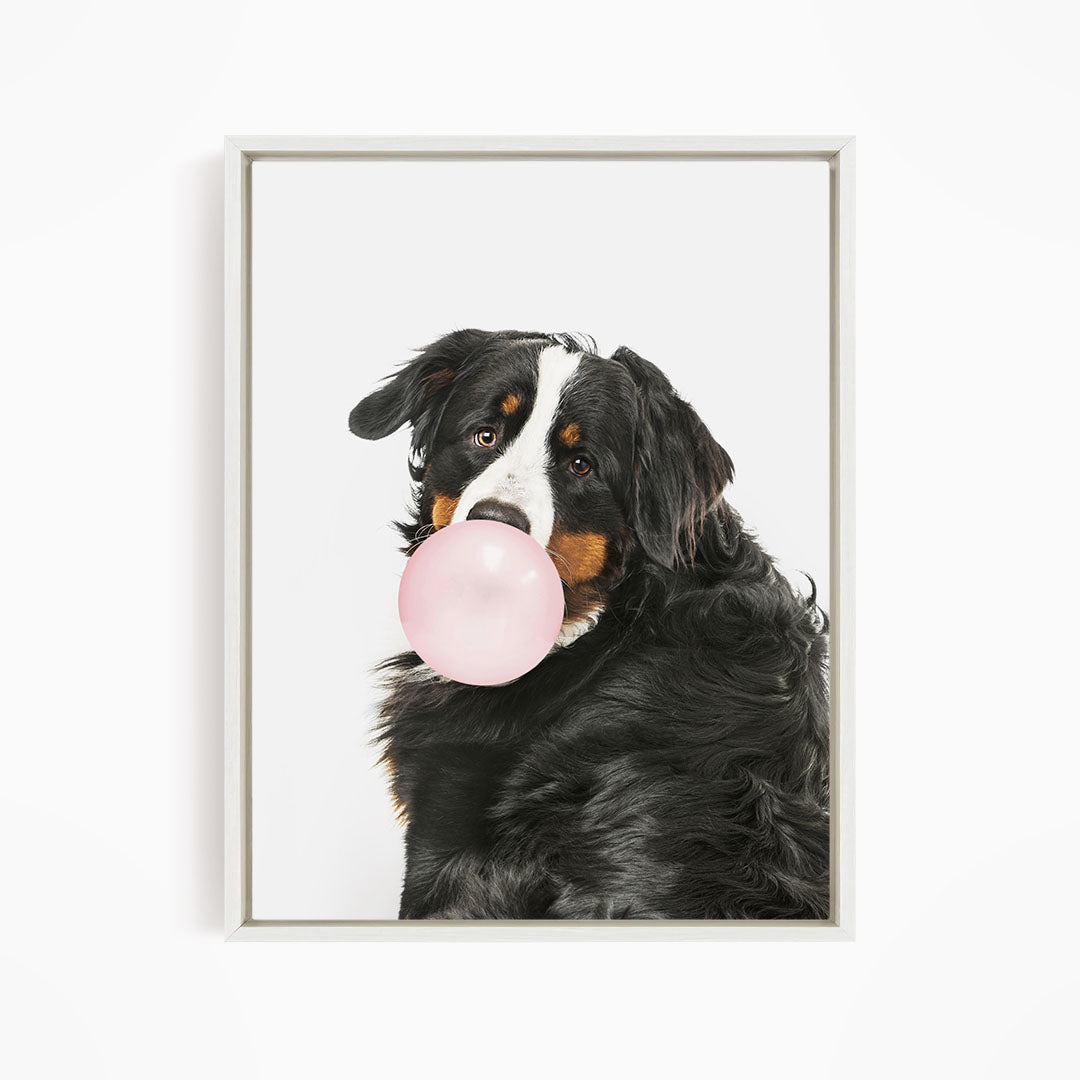 A black and brown dog is blowing a pink bubble with its mouth, creating a playful and adorable scene.