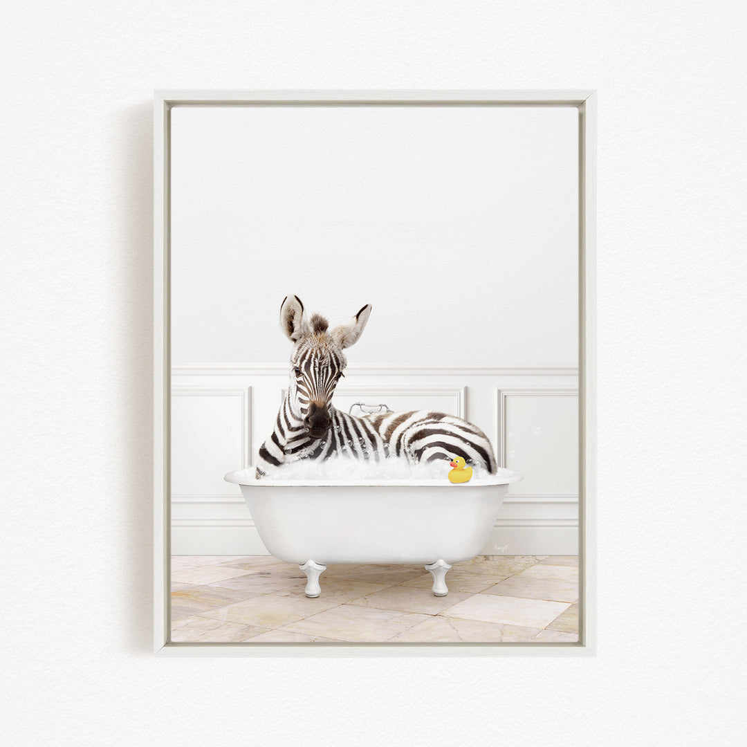 A zebra is sitting in a white bathtub filled with water, surrounded by a yellow rubber duck.