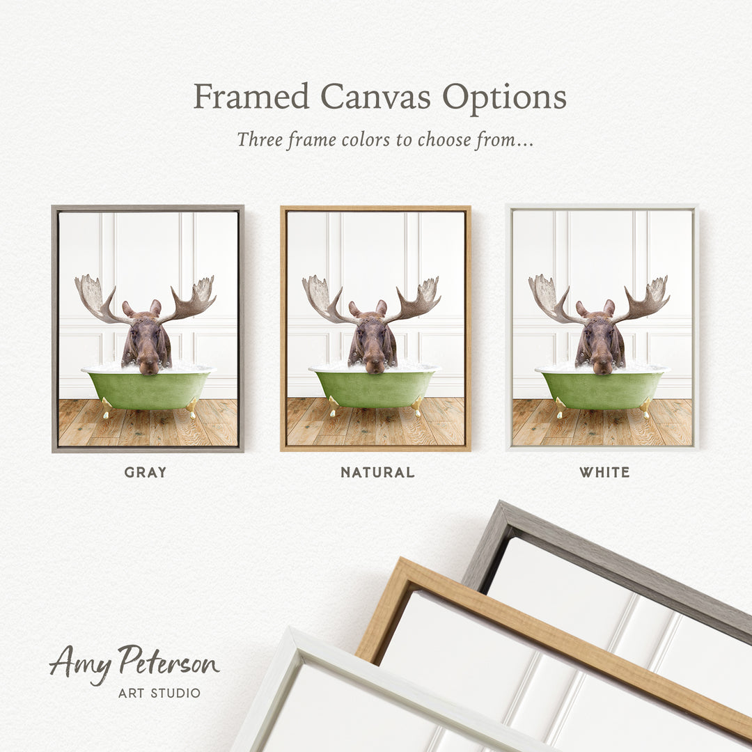 three framed canvas options, each featuring a moose in a bathtub. The options include a gray frame, a natural frame, and a white frame. The moose in each frame is depicted in a different color, allowing the viewer to choose their preferred color for the final framed artwork.