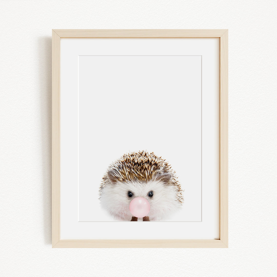 A framed image of a cute hedgehog blowing a bubble with a pink bubblegum bubble.
