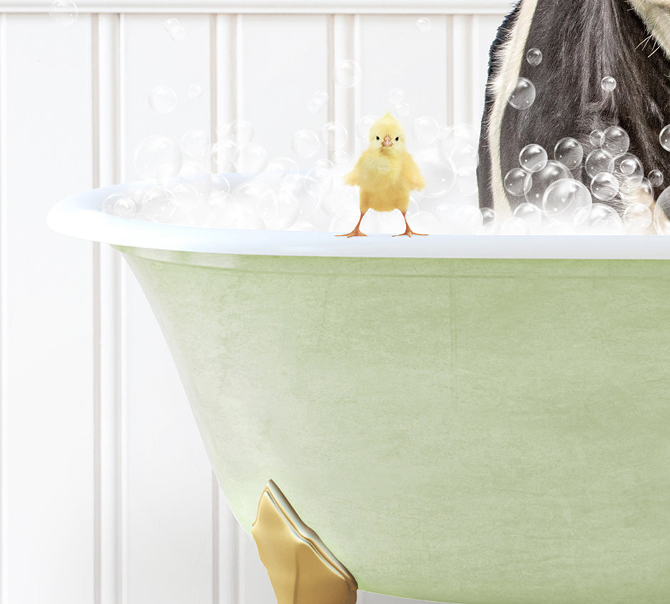 a cat in a bathtub with bubbles and a rubber duck