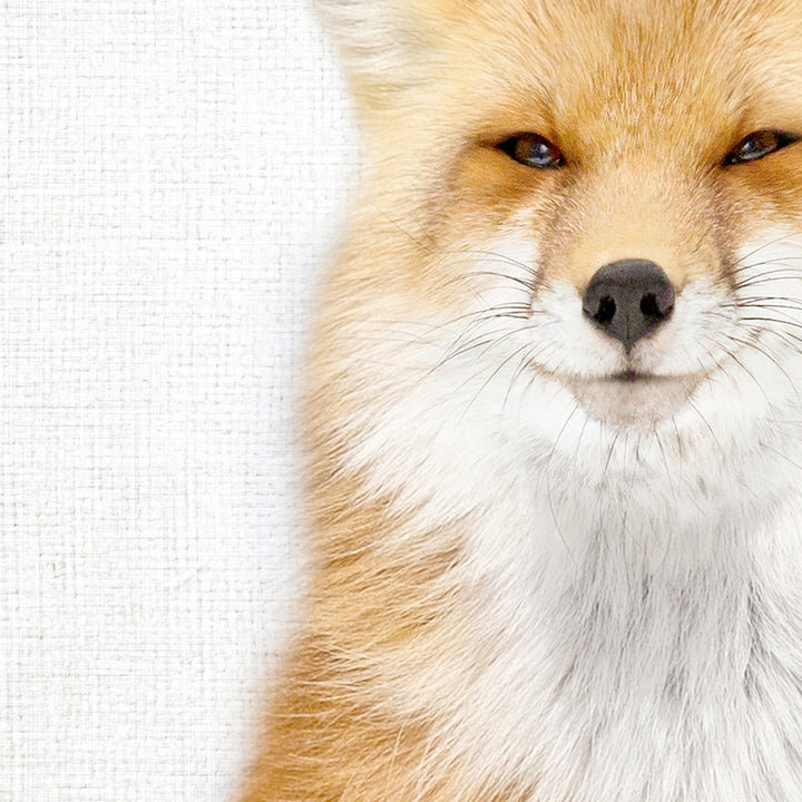 Smiling Fox - Animal Portraits