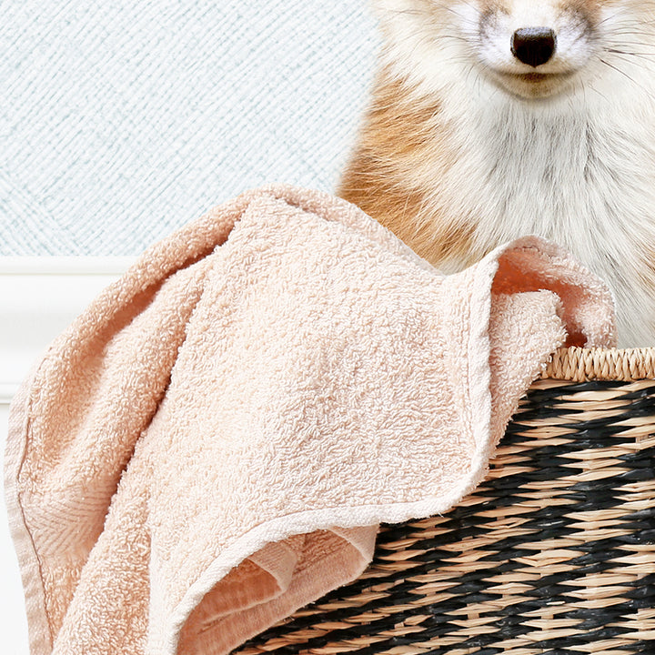Fox in Laundry Basket - Cottage Blue Wall