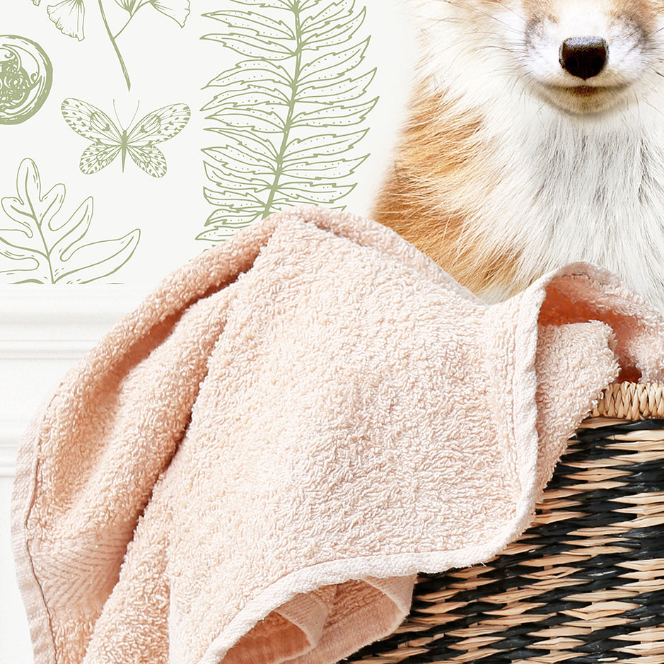 Fox in Laundry Basket - Assorted Wallpapers