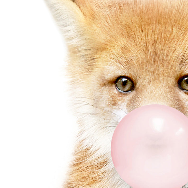 Baby Fox Blowing Pink Bubble Gum