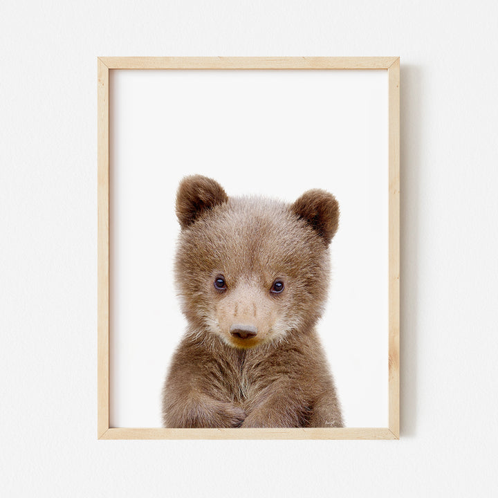 Baby Bear Cub - Baby Animal Portrait