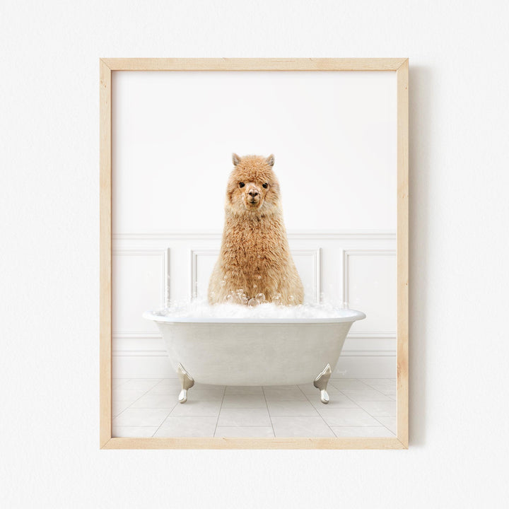 Alpaca in Modern Neutral Bath