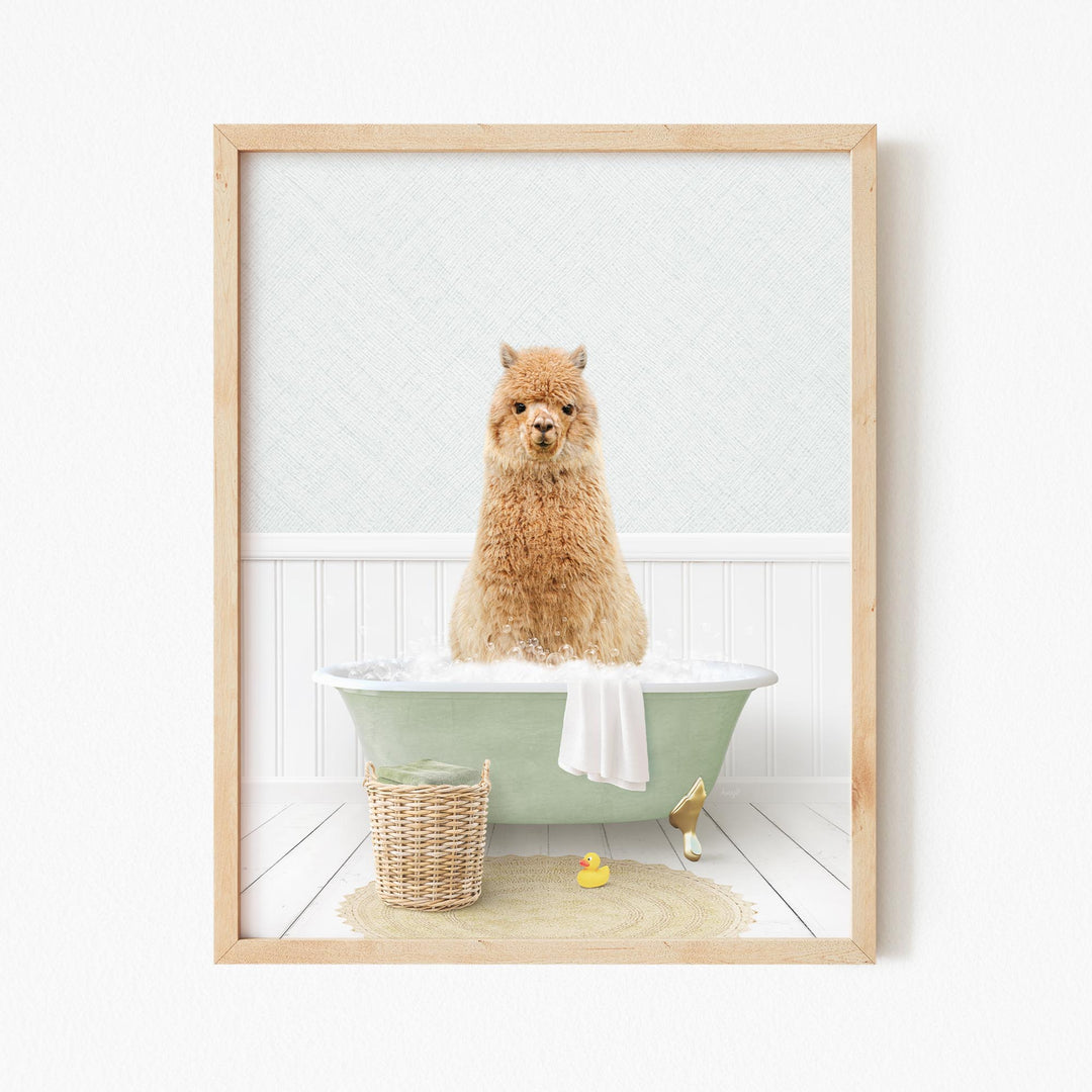 Alpaca in Cottage Green Bath