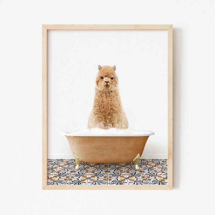 Alpaca in Mediterranean Bath