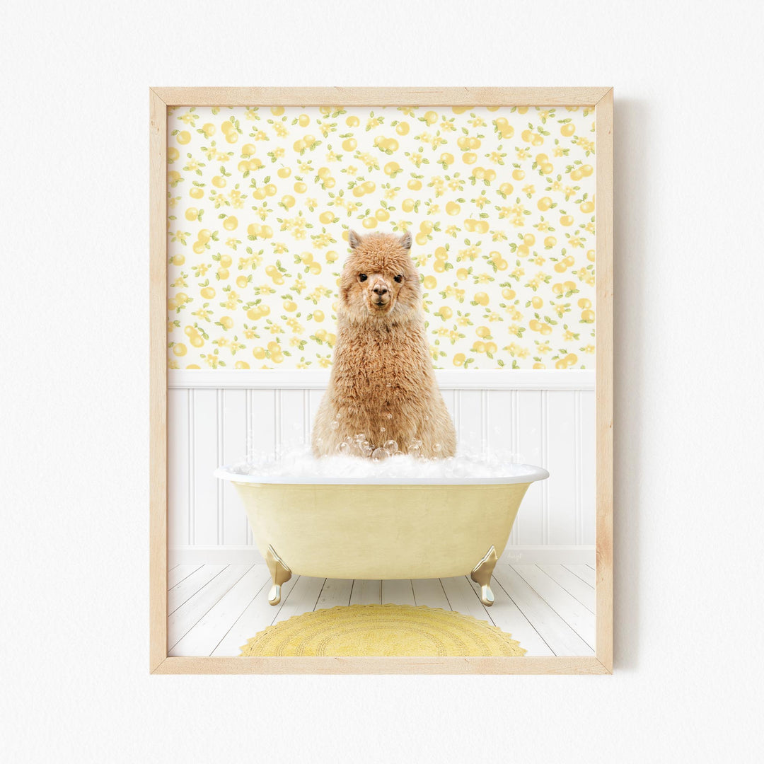 Alpaca in Cottage Yellow Bath