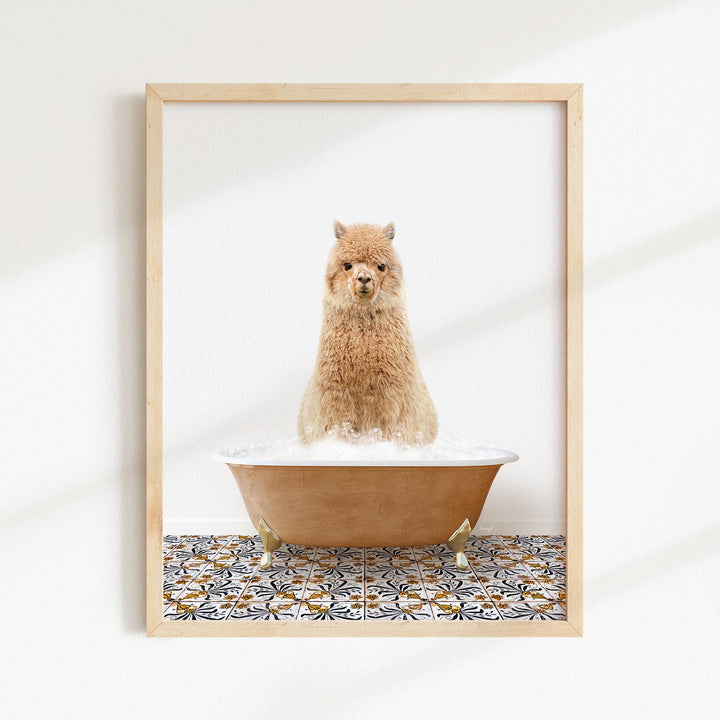Alpaca in Mediterranean Bath