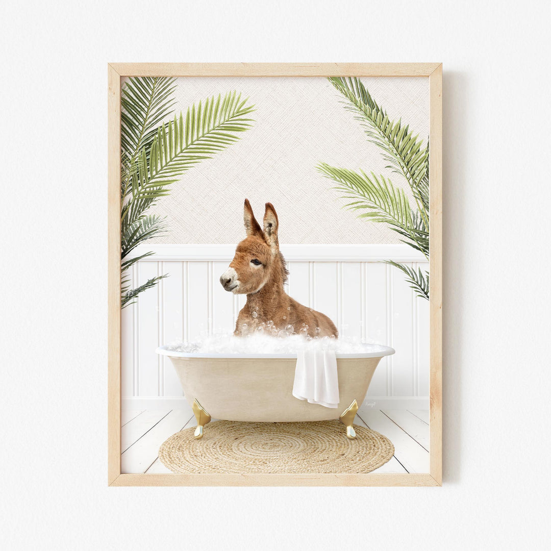 Baby Donkey in Palms Bath