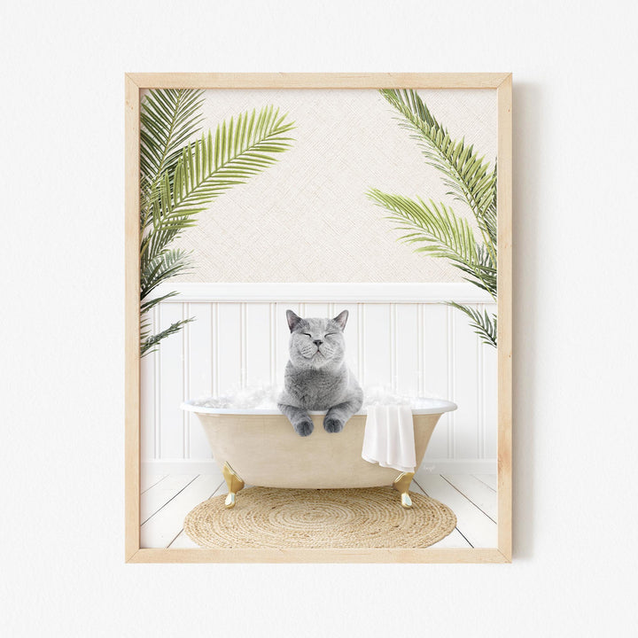 Cat in Palms Bath