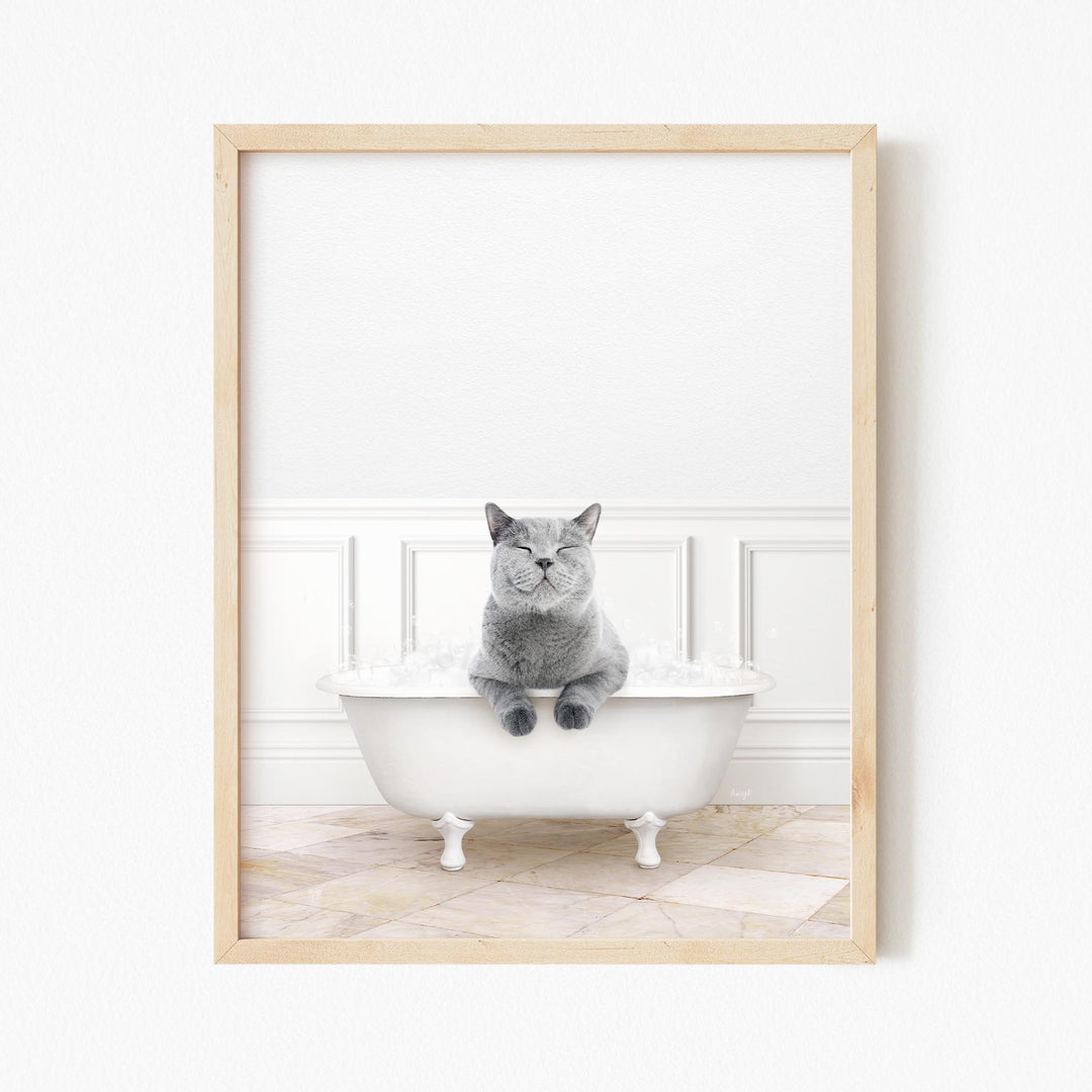 Cat in Modern Bath