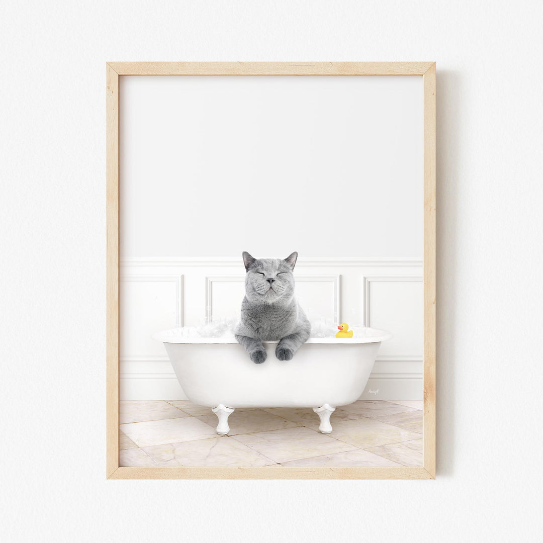 Cat in Modern Bath