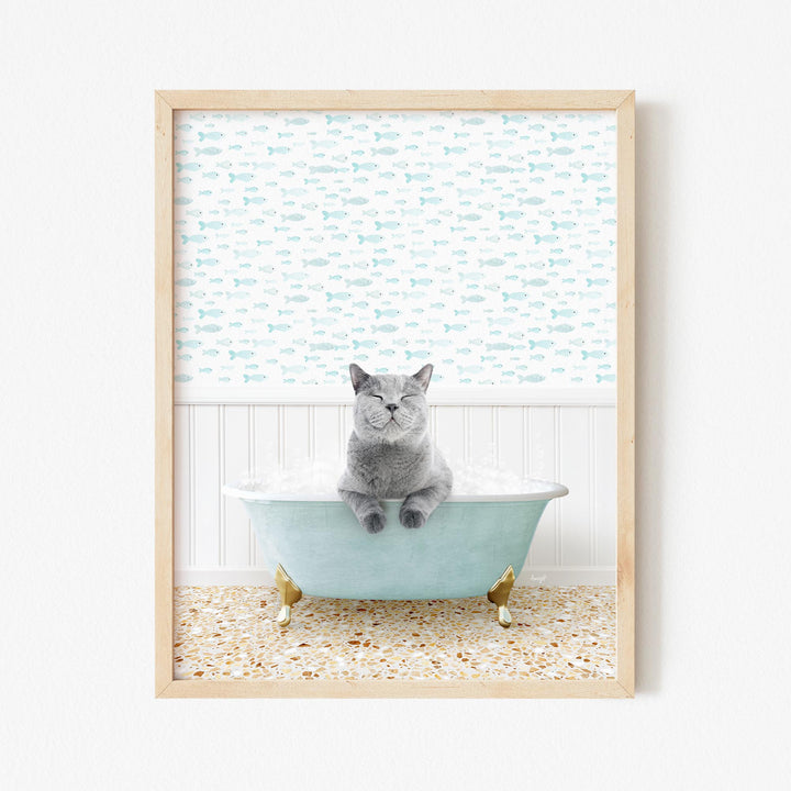 Cat in Little Fish Bath