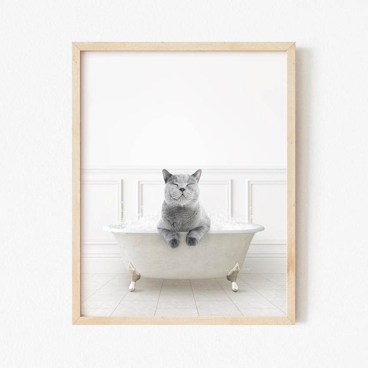 Cat in Modern Neutral Bath