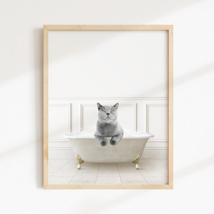 Cat in Modern Neutral Bath