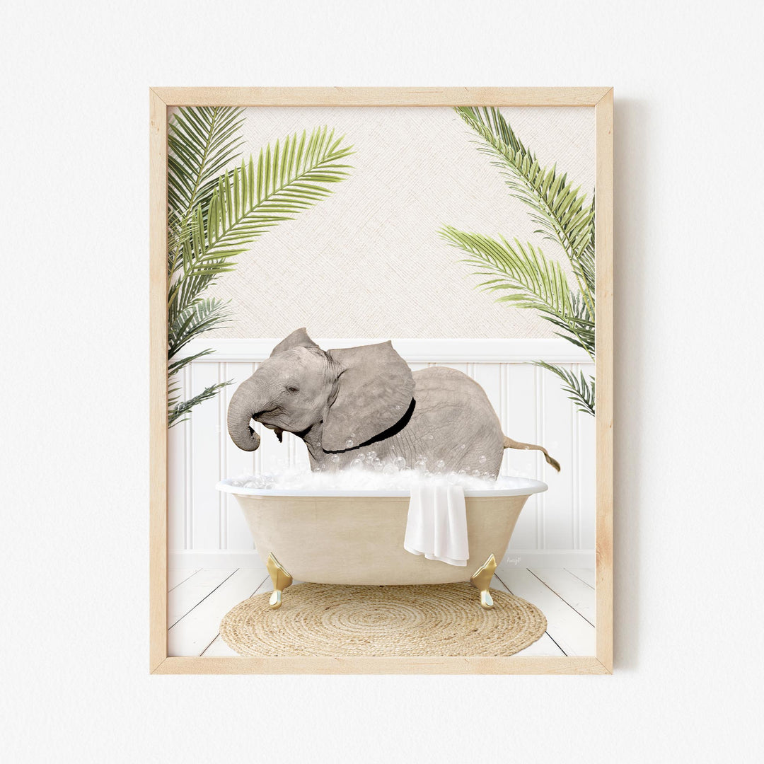 Baby Elephant No2 in Palms Bath