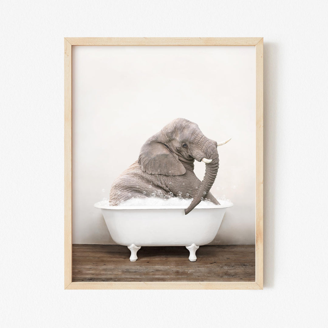 Young Elephant in Rustic Bath