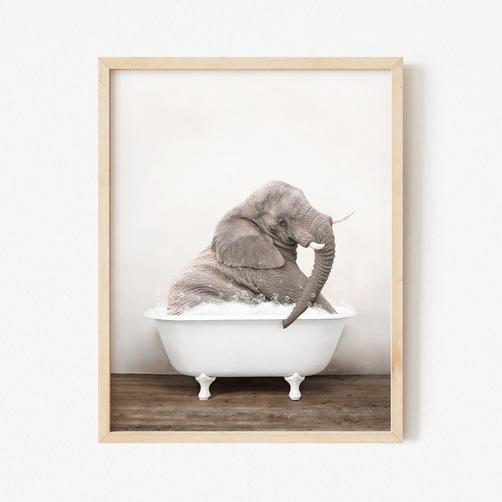 Young Elephant in Rustic Bath