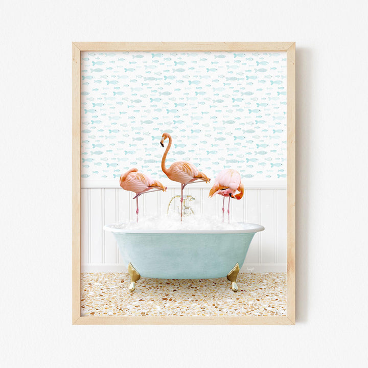 Three Flamingos in Little Fish Bath