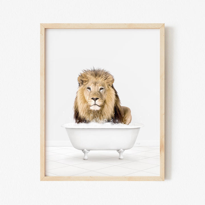 Male Lion in Neutral Bath