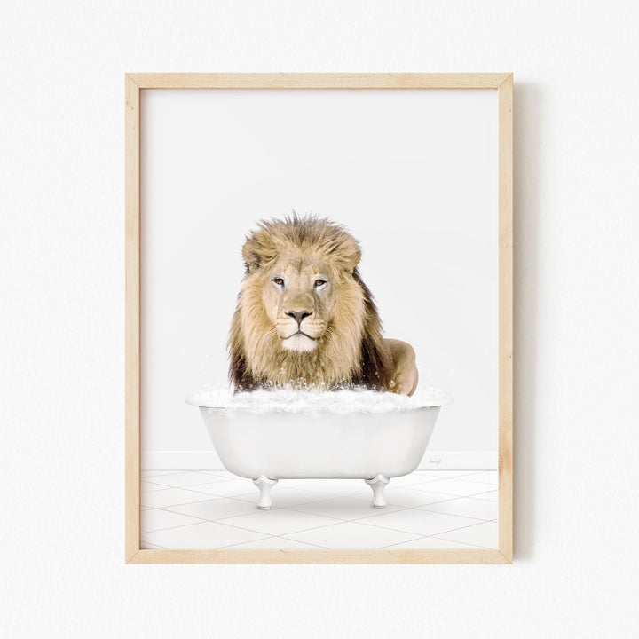 Male Lion in Neutral Bath