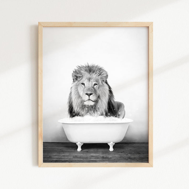 Male Lion in Rustic Black and White