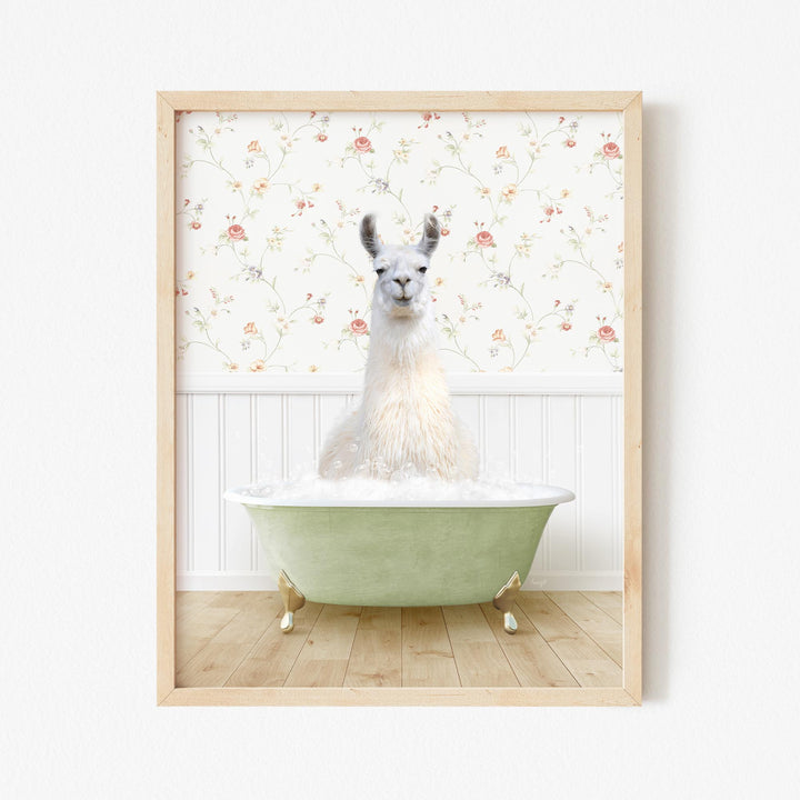 Llama in Country Cottage Bath