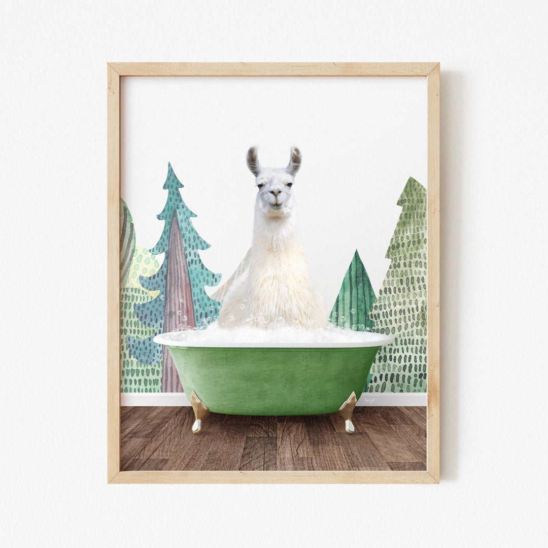 Llama in Wilderness Bath