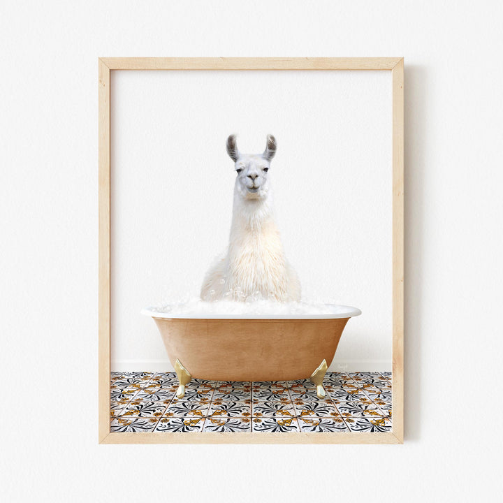 Llama in Mediterranean Bath