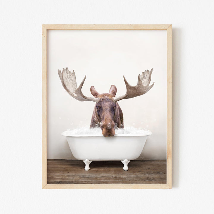 Moose in Rustic Bath