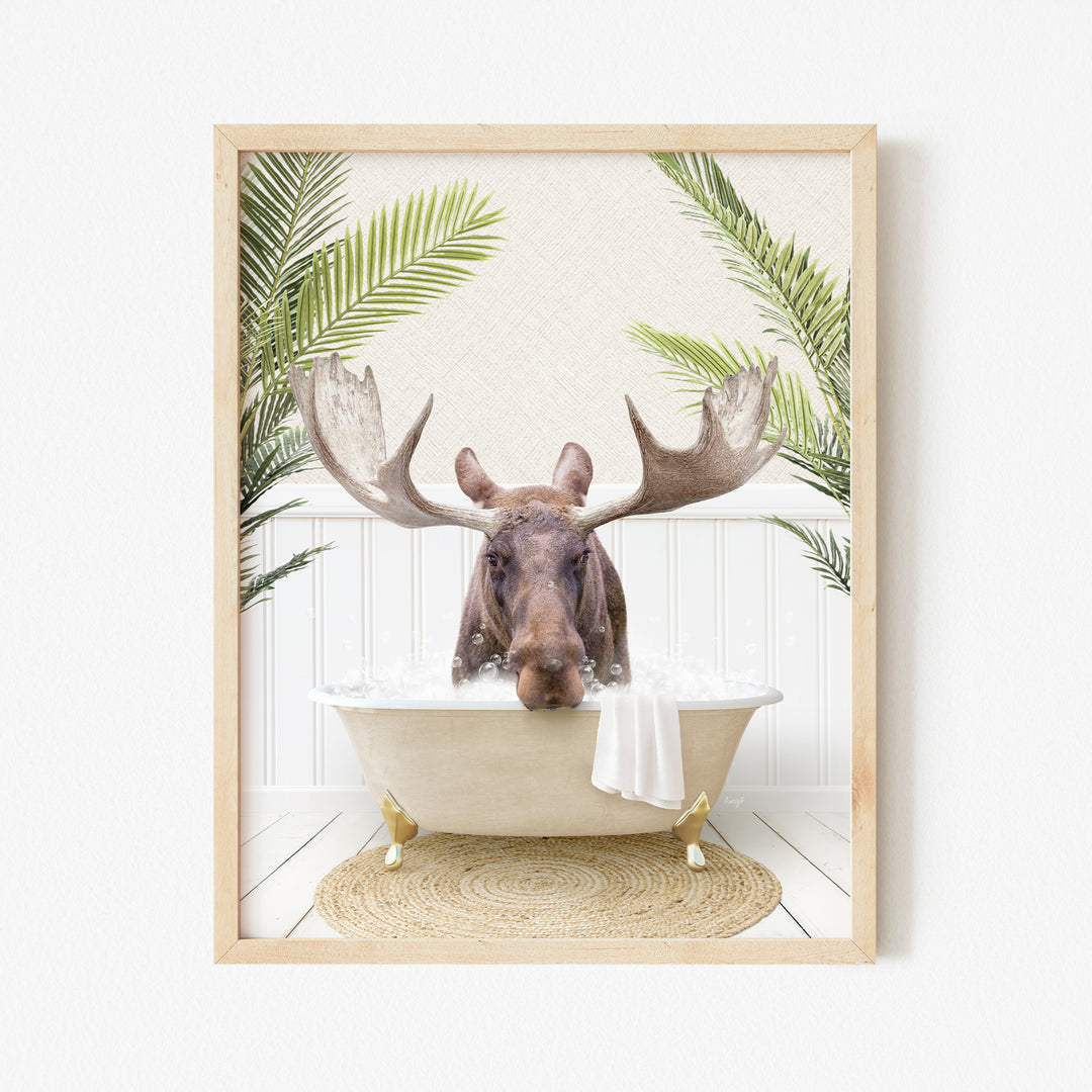 Moose in Palms Bath