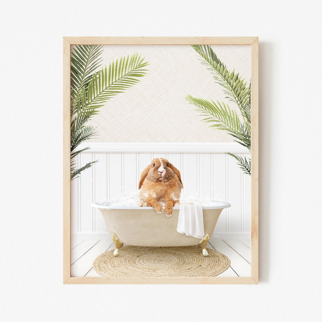 Pudgy Bunny in Palms Bath