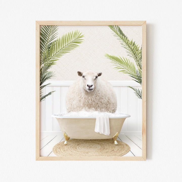 Sheep in Palms Bath