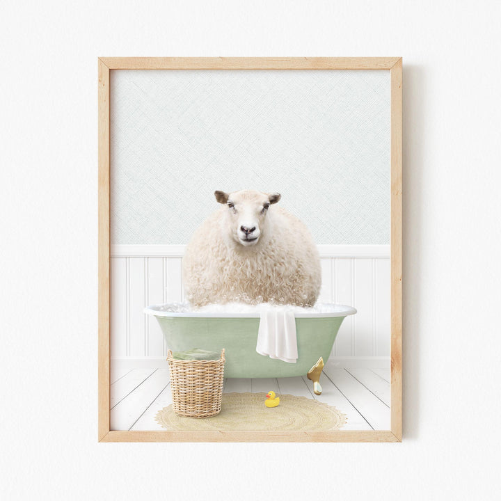 Sheep in Cottage Green Bath