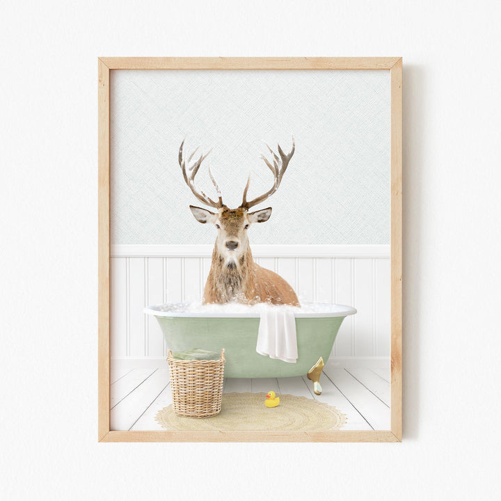 Male Deer in Cottage Green Bath