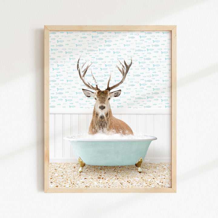 Male Deer in Little Fish Bath