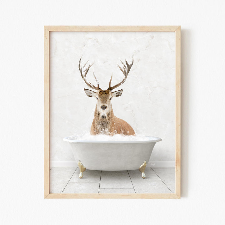 Male Stag Deer in Stone Slab Bath