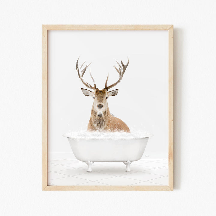 Male Stag Deer in Neutral Bath