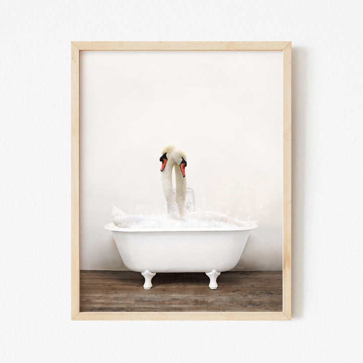 Swans in Rustic Bath