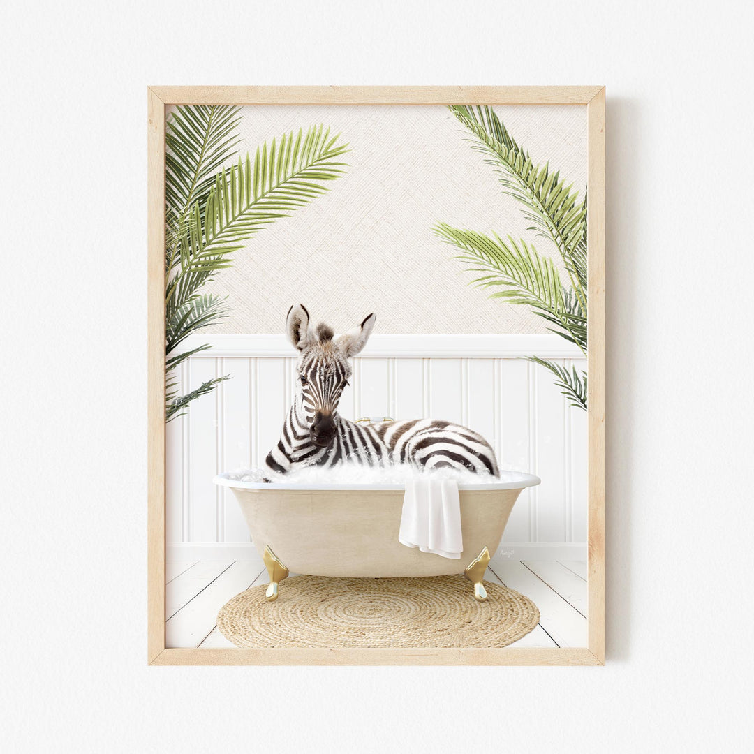 Baby Zebra in Palms Bath