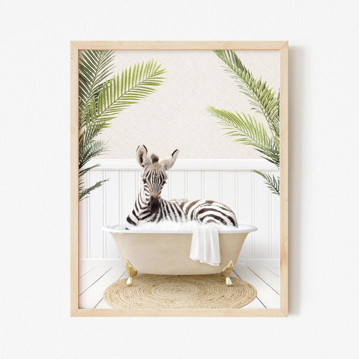 Baby Zebra in Palms Bath